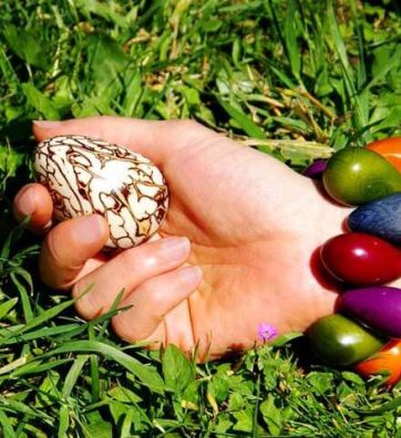 Bracelet PEPA